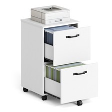 2 Drawer Mobile File Cabinet