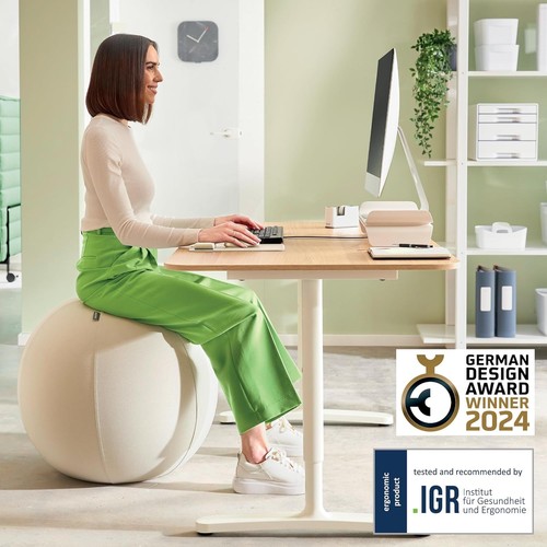 Leitz ergo active - active, sitting