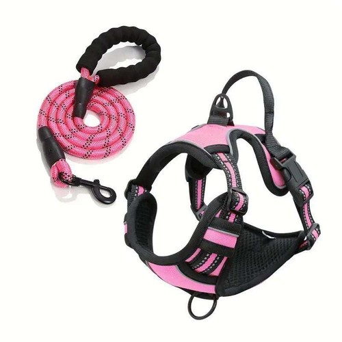 Dog harness and - harness,