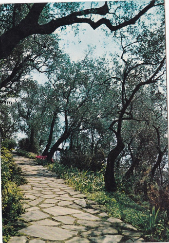 Golfo tigullio italy postcard - golfo,