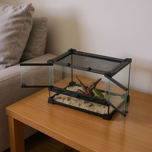 Reptile terrarium with - reptile,