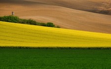 Photo Wall Mural-FIELDS