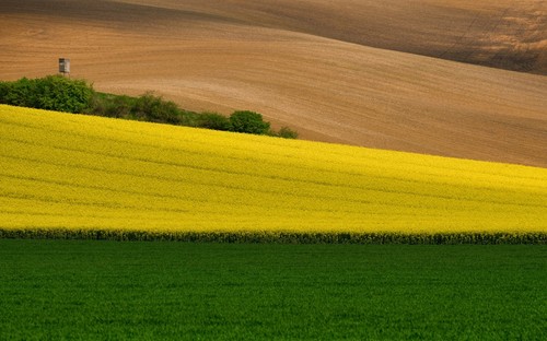 Photo wall mural fields - wall, mural-fields