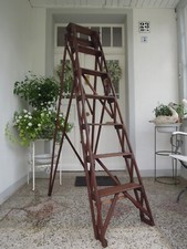 Library Ladder 7 Step Hardwood
