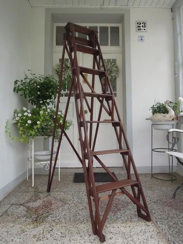 Library ladder step hardwood - library,