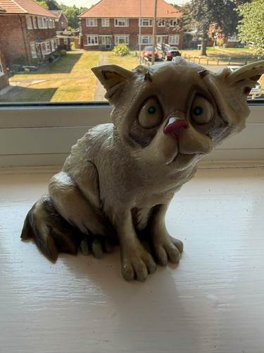 Pets with personality - with, cat