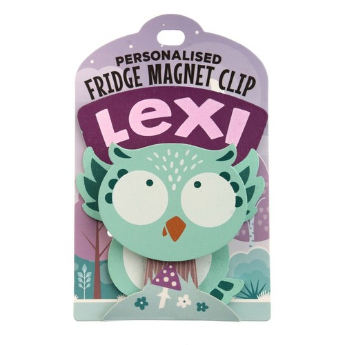 Fridge magnet clip - magnet, lexi