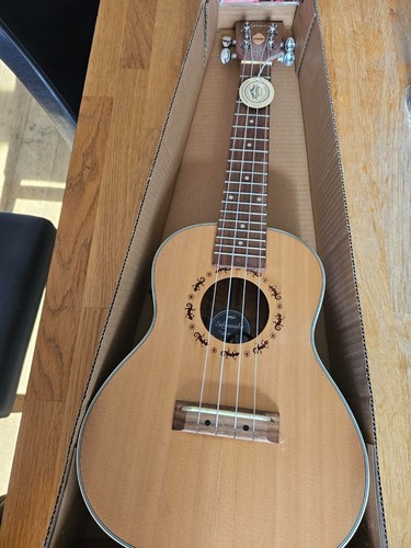 Chord salamander - chord,