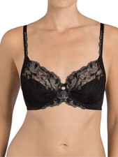 Triumph 36C Modern Bloom