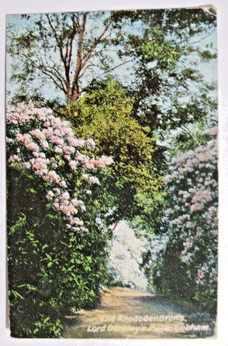 Postcard the rhododendrons - postcard,