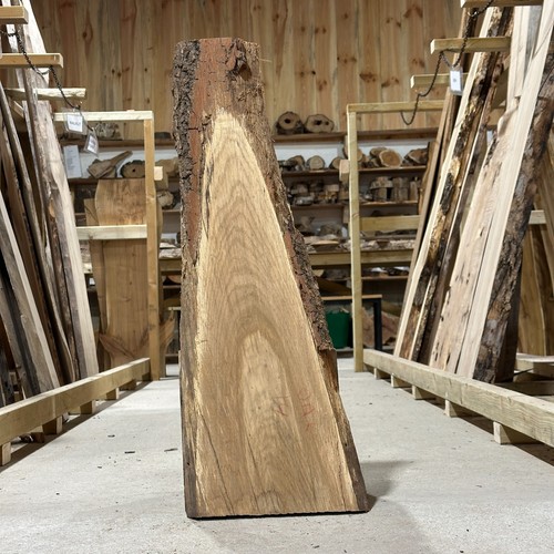 Characterful oak plank - oak, board