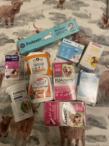 Bundle various dog and - dog,