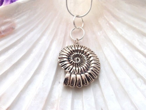 Stunning ammonite fossil - 3d,