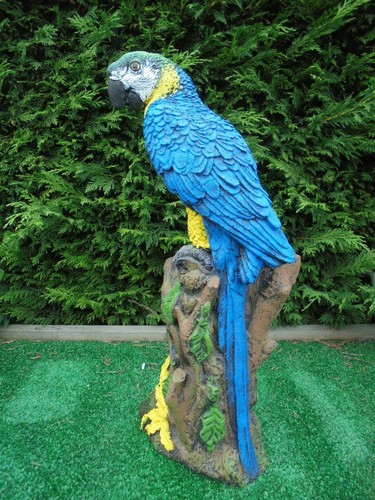 Parrot concrete garden - parrot,