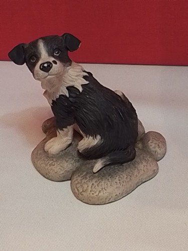 Border fine arts collie pup - fine, arts.