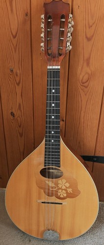 Ozark mandolin string - ozark,
