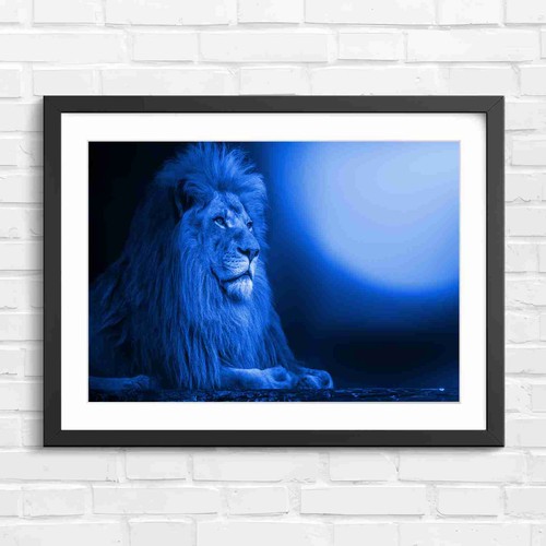 Majestic male lion portrait - lion,