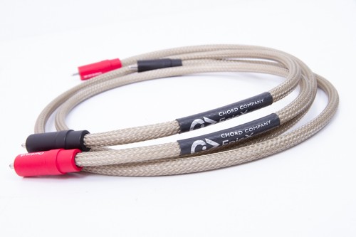 Chord epic aray - epic, rca
