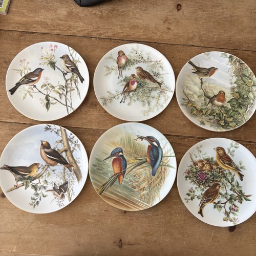 Set coalport john - of, 6