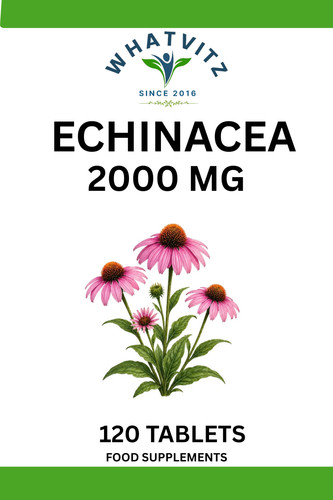 Echinacea 2000 120 - echinacea,