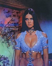 The Golden Voyage of Sinbad