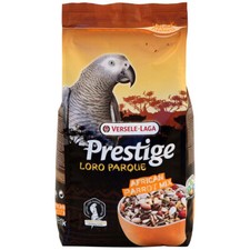 Prestige Premium African Grey