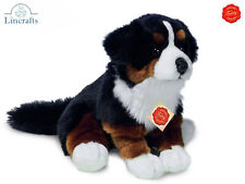 Teddy Hermann Bernese Mountain