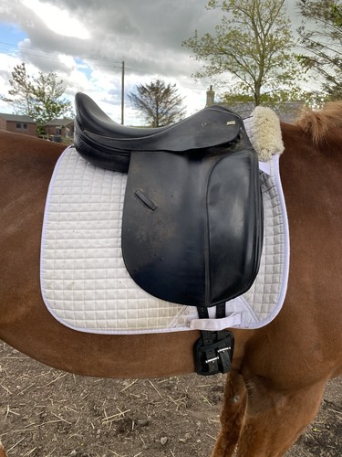 Sue carson dressage - sue, saddle