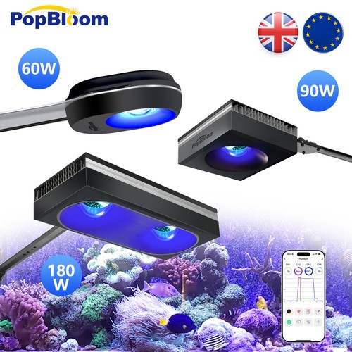 Popbloom rl60 rl90 rl180 - popbloom,