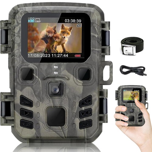 Wildlife hunting trail camera - wildlife,