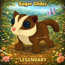 SUGAR GLIDER (VERY CHEAP)