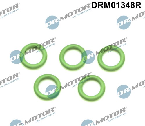 Seal ring oil drain - ring,,