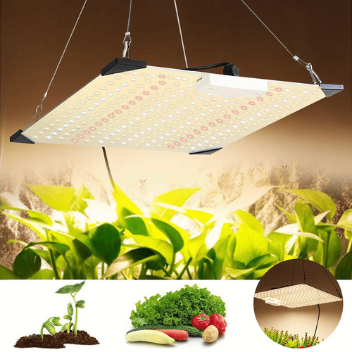 Grow light 1000w full spectrum - grow,