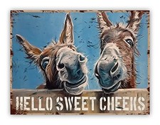 Funny " Hello Sweet Cheeks "