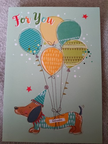Sausage dog party hat - party,