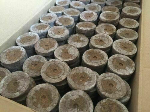 Jiffy peat compost plug seed - jiffy-7,