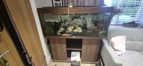 Jewellery fiah tank - fiah,