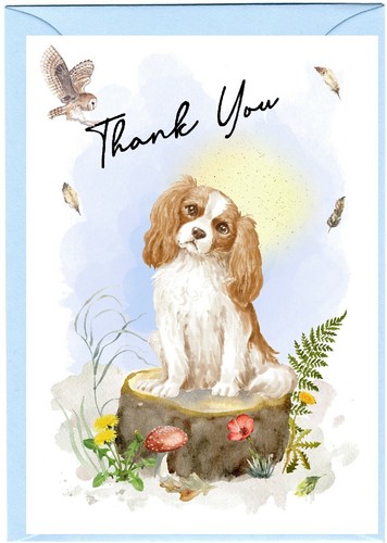 Cavalier king charles spaniel - cavalier,