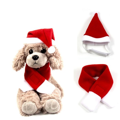 Cat outfits costume - cat,