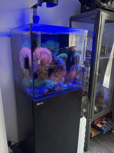 Red sea reefer nano 105ltr - red,