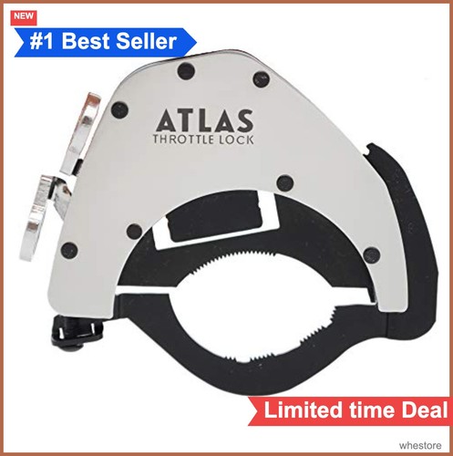 Motorcycle cruise control - motorcycle,