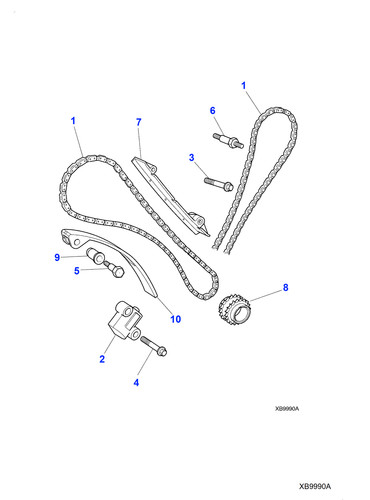 Jaguar primary timing - timing, chain
