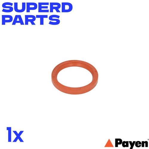 Crankshaft oil seal rear - seal, fits