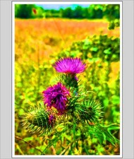 Down By The Riverbank A4 Print