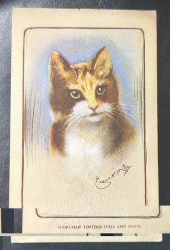 1951 salmon tortoiseshell - 1951,