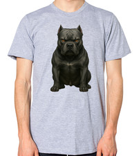 Black American Bully Dog