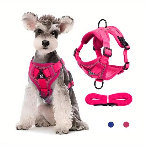 Cat dog harness pet vest - cat,