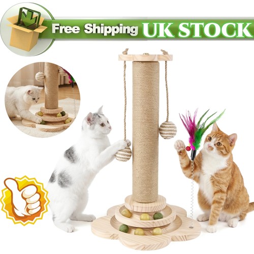 Tall large cat scratching - cat, post