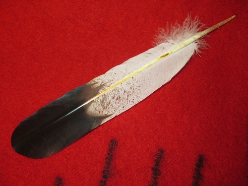 Native american made hand - native,