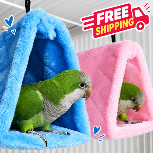 Pet bird warm - bird, cage